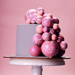 IMG_8446